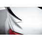 Spoiler Cap Opel Insignia OPC-Line Mk1 (Cod. M-OP-IS-1-OPCLINE-CAP1G)