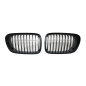 Griglia BMW E46 (Cod. E-TCB5836)