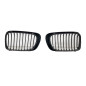 Griglia BMW E46 (Cod. E-TCB5836)