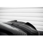 Spoiler Cap 3D BMW Z4 M-Pack E89  (Cod. M-BM-Z4-89F-MPACK-CAP3D1G)