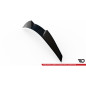 Spoiler Cap 3D BMW Z4 M-Pack E89  (Cod. M-BM-Z4-89F-MPACK-CAP3D1G)