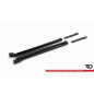 Diffusori minigonne Shelby F150 Super Snake (Cod. M-SH-F150-SS-SD1A+BG) Diffusori minigonne Shelby F150 Super Snake (Cod. M-SH-F150-SS-SD1A+BG)