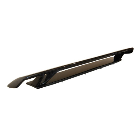Spoiler Carbonio Audi TT 06-14 8J (Cod. E-SP56026)