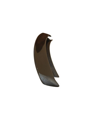 Spoiler Carbonio Audi TT 06-14 8J (Cod. E-SP56026)