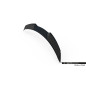 SPOILER CAP SUPERIORE 3D Lexus RX Mk4 Facelift (Cod. M-LE-RX-4F-CAP1G)