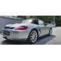 Splitters posteriori laterali Porsche Boxster 987 (Cod. M-PO-BO-S-987-RSD1G)