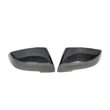 Alloggiamento Del Retrovisore BMW F10 / F11 LCI 13-16 (Cod. E-CARB016)