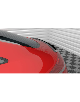 Spoiler Cap Audi TT 8J (Cod. M-AU-TT-2-CAP1G)