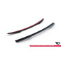 Spoiler Cap Audi TT 8J (Cod. M-AU-TT-2-CAP1G)