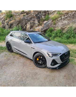 Diffusori minigonne Audi e-Tron S-Line (Cod. M-AU-ETRON-1-SLINE-SD1G)