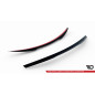 Spoiler Cap Mercedes-Benz CLS C219 (Cod. M-ME-CLS-C219-CAP1G)