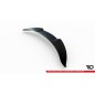Spoiler Cap 3D Tesla Model 3  (Cod. M-TE-MODEL3-1F-CAP3D1G)