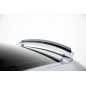 Spoiler Cap Audi TT 8J (Cod. M-AU-TT-2-SLINE-CAP1G)