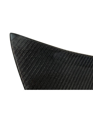 Portellone Carbonio BMW E46 99-05 2P / E46 Look M3 CSL (Cod. E-PORTB08)