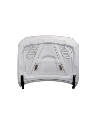 Cofano Fibra BMW F10 look GTR (Cod. E-TCBF1010)