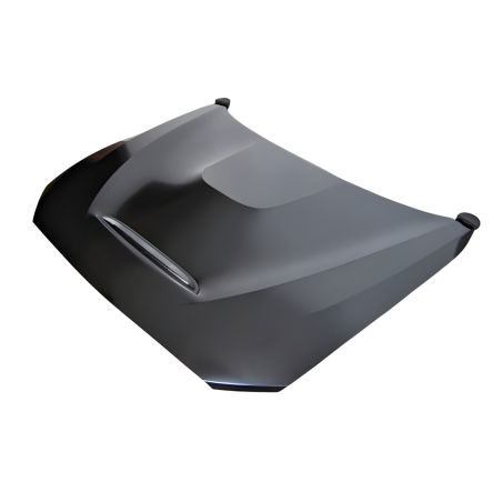 Cofano BMW F20/F21 12-19 F22/F23 2014+ F87 M2 Look GTS Metal (Cod. E-TCBF218)
