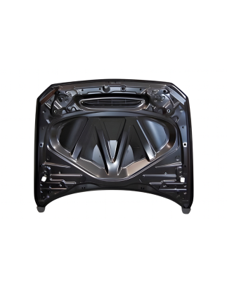 Cofano BMW F20/F21 12-19 F22/F23 2014+ F87 M2 Look GTS Metal (Cod. E-TCBF218)