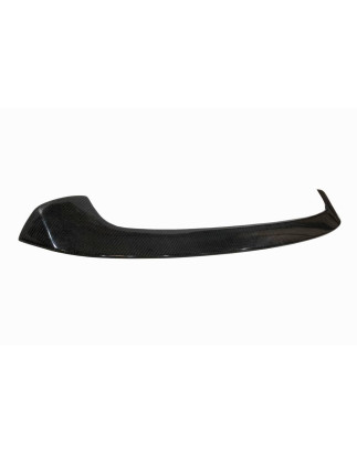 Alettone BMW F20 / F21 Carbonio (Cod. E-SP6F201)