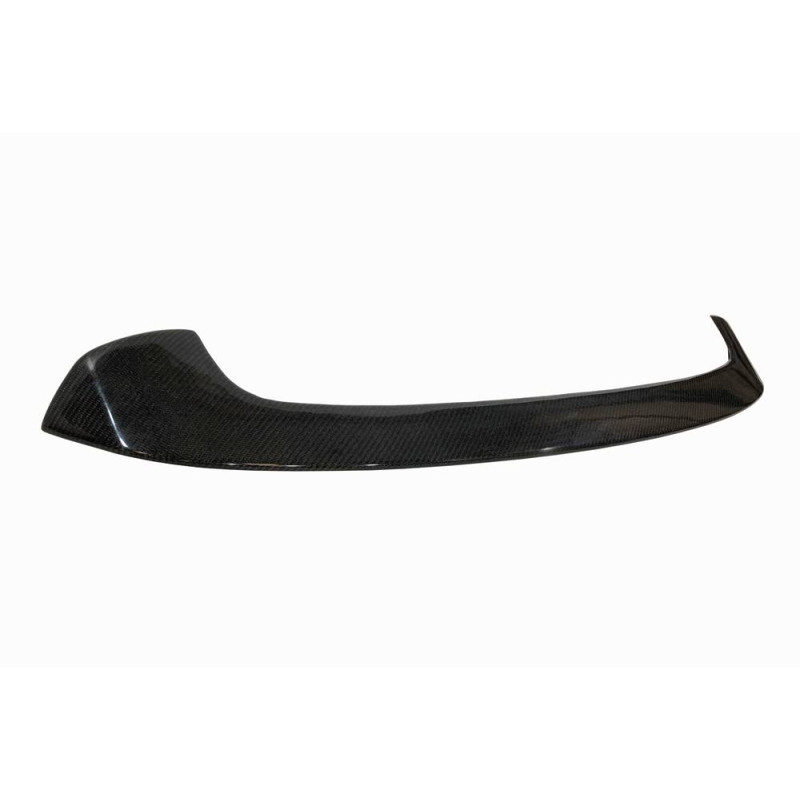 Alettone BMW F20 / F21 Carbonio (Cod. E-SP6F201)