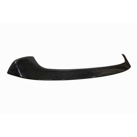 Alettone BMW F20 / F21 Carbonio (Cod. E-SP6F201)