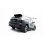 Spoiler Cap Volkswagen Tiguan Mk3 (Cod. M-VW-TI-3-CAP1G)