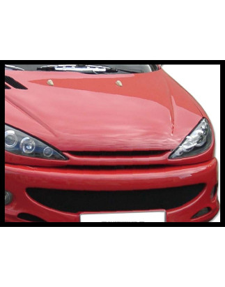 Calandra Peugeot 206 (Cod. E-TCP6363)