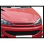 Calandra Peugeot 206 (Cod. E-TCP6363)
