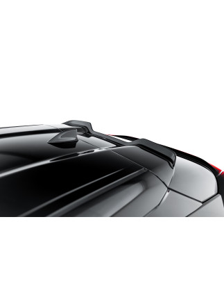 Spoiler Cap Toyota C-HR Mk2 (Cod. M-TO-CH-R-2-CAP1G)