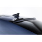 SPOILER LUNOTTO Cupra Tavascan Mk1 (Cod. M-CU-TA-1-H1G)