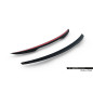 Spoiler Cap Opel Insignia OPC-Line Mk2 (Cod. M-OP-IS-B-OPCLINE-CAP1G)