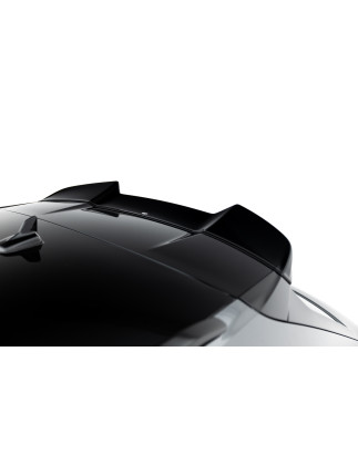 Spoiler Cap 3D Audi RSQ3 SUV F3 (Cod. M-AU-RSQ3-2-CAP2G)