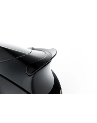 Spoiler Cap Tesla Model Y Premium Mk1 Facelift (Cod. M-TE-MODELY-1F-CAP1G)