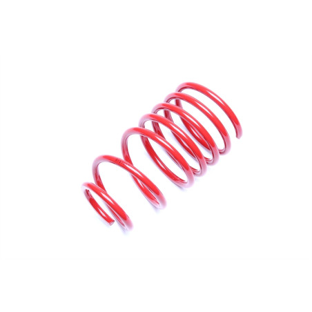 TA Technix molla elicoidale asse posteriore (Cod. T-EVO1510)