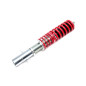 TA Technix Deep molla montante ant. per Audi A3 (8L) / Seat Leon (1M) (Cod. T-X-GFVW04VA)