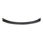 Spoiler Carbonio Porsche 971 Turbo (Cod. E-SPPO13)