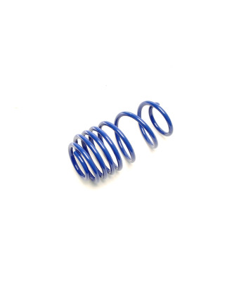 Tuning Art Coil Spring asse posteriore (Cod. T-VW47HA)