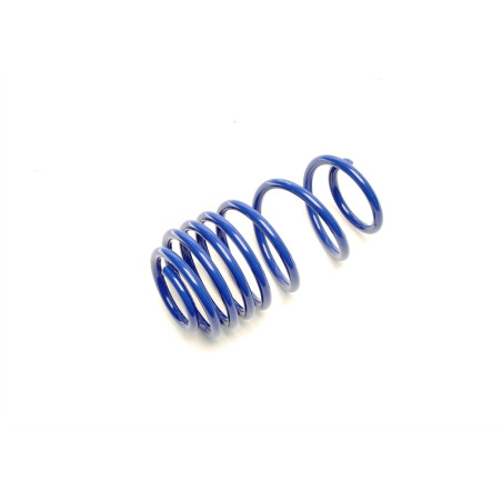 Tuning Art Coil Spring asse posteriore (Cod. T-VW47HA)