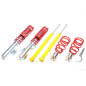 TA Technix assetto ghiera regolabile per Ford Focus C-Max, DA / Ford Focus II, DA (Cod. T-*EVOGWFO02