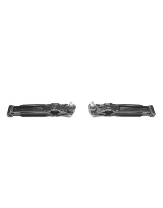 Kit bracci oscillanti rinforzati TA Technix small per Opel Agila (A) (H00) / Suzuki Wagon R+ (EM/MM)
