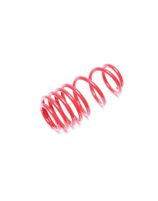 TA Technix molla elicoidale asse posteriore da EVOGWVW06/1 Seat Arosa (6H)/ VW Lupo (6X) (Cod. T-EVO
