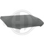 Cofano motore Audi A5 07-11 (Cod. D-1045000)