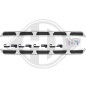 Set Pedane sottoporta Audi Q5 17-20 (Cod. D-1076033)