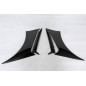 Prese D'Aria Parafanghi Ford Mustang 15-19 Look GT350 (Cod. E-TCF3103)