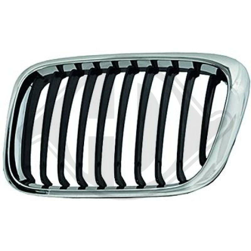 Griglia radiatore BMW serie 3 (E46) Compact 01-05 (Cod. D-1214041)