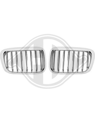 Griglia radiatore BMW serie 3 (E46) Compact 01-05 (Cod. D-1214140)