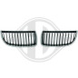 Griglia radiatore BMW serie 3 (E90/91) BERL./TOURING 05-08 (Cod. D-1216040)