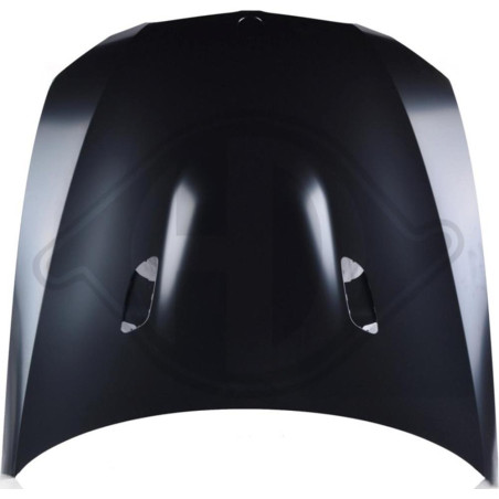 Cofano motore BMW serie 3 E92/93 Coupe/Cabrio 10-14 (Cod. D-1216203)