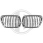 Griglia radiatore BMW serie 5 (E39) 00-03 (Cod. D-1223240)