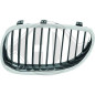 Griglia radiatore BMW serie 5 (E60/61) 03-07 (Cod. D-1224041)
