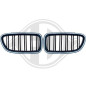 Griglia radiatore BMW serie 5 (F10/11 LCI) 13-17 (Cod. D-1225241)